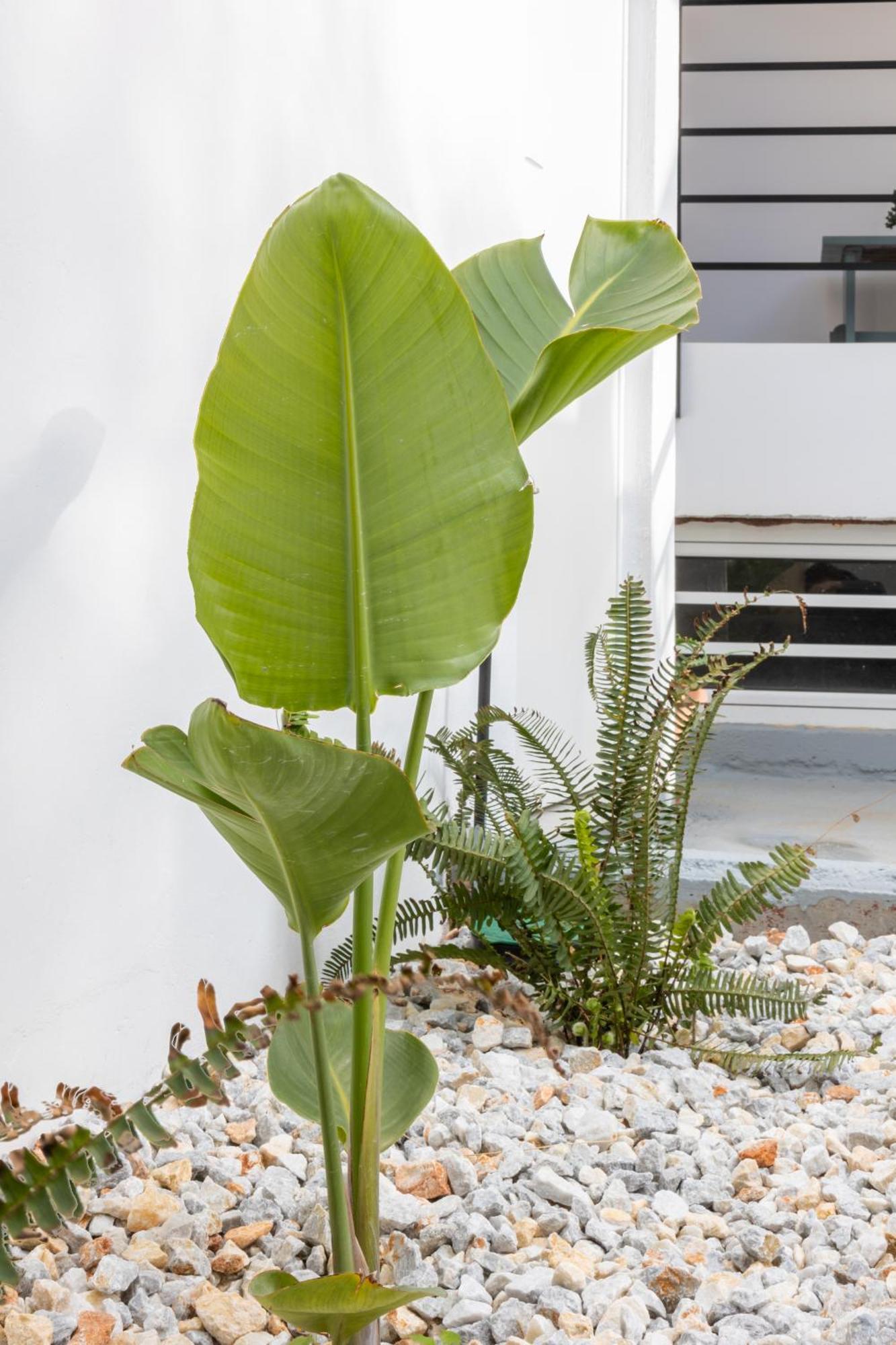 Garden Luxury Apartment Heraklion (Crete) Exterior foto